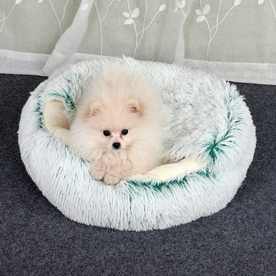 2 - in1 Pet Bed - JOrigin